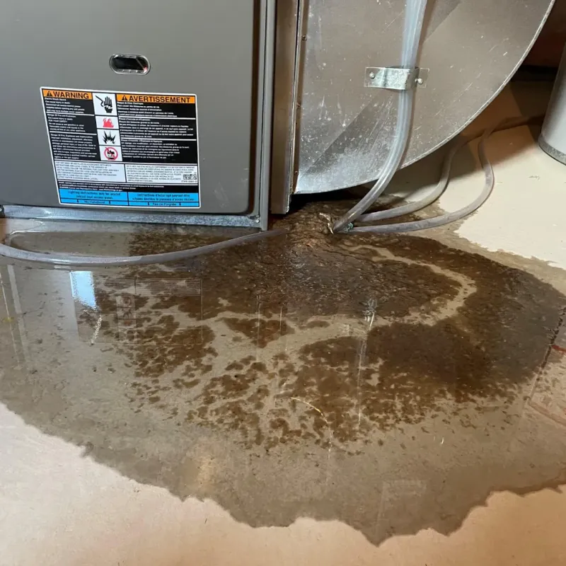 Appliance Leak Cleanup in Granby, MO