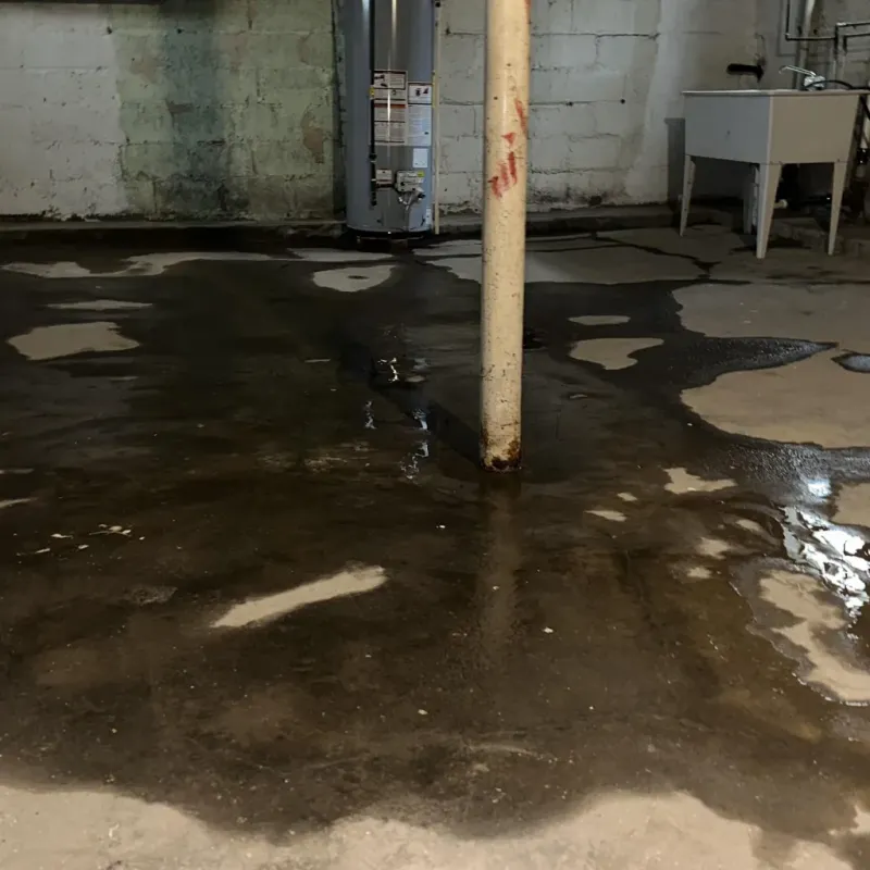 Emergency Water Extraction And Removal in Granby, MO